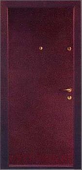 фото порошковых дверей